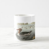Gemeiner Merganser, John Audubon Kaffeetasse (Mittel)