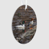 Gemeiner Merganser Ornament (Vorderseite)