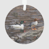 Gemeiner Merganser Ornament (Rückseite)