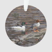 Gemeiner Merganser Ornament (Vorderseite)