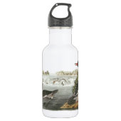 Gemeiner Merganser von Audubon Edelstahlflasche (Vorderseite)