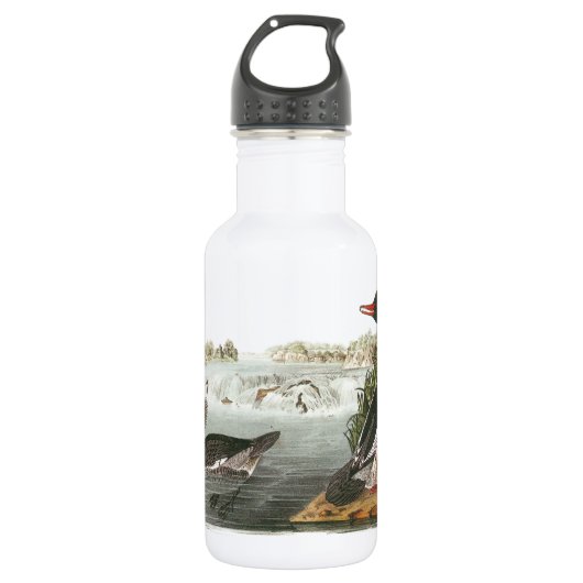 Gemeiner Merganser von Audubon Edelstahlflasche (Vorderseite)
