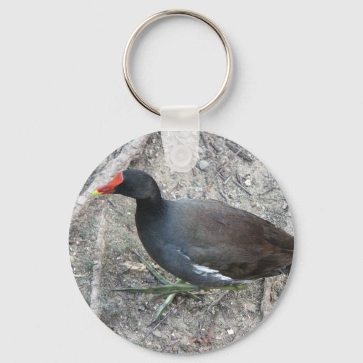 Gemeiner Moorhen-Schlüsselanhänger Schlüsselanhänger (Vorderseite)