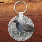 Gemeiner Moorhen-Schlüsselanhänger Schlüsselanhänger (Vorderseite)