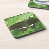 Gemeiner Mormon Butterfly Cork Untersetzer (Linke Seite)