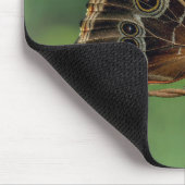 Gemeiner Morpho-Schmetterling auf Stacheldraht Mousepad (Ecke)