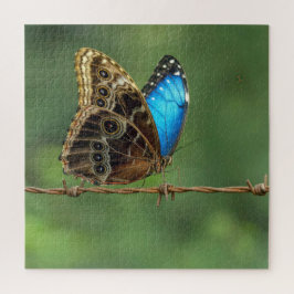 Gemeiner Morpho-Schmetterling auf Stacheldraht Puzzle
