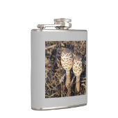 Gemeiner Parasolpilz Flachmann (Rechts)