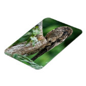 Gemeiner Poto Small Magnet (Linke Seite)