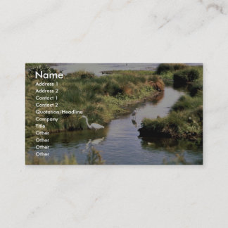 Gemeiner Reiher Visitenkarte