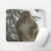 Gemeiner Rhesus-Macaque-Affe (Macaca mulatta) Sitz Mousepad (Mit Mouse)