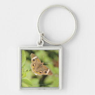 Gemeiner Rosskastanienschmetterling, Junonia Schlüsselanhänger