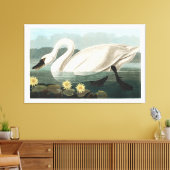 Gemeiner Schwan Leinwanddruck (Insitu (Wohnzimmer))