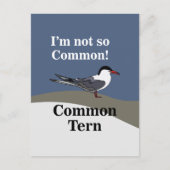 Gemeiner Tern-Seabird-Funny Postkarte (Vorderseite)