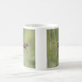 Gemeiner Yellowthroat Kaffeetasse (Mittel)
