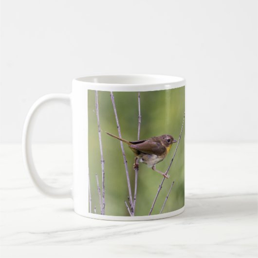 Gemeiner Yellowthroat Kaffeetasse (Links)