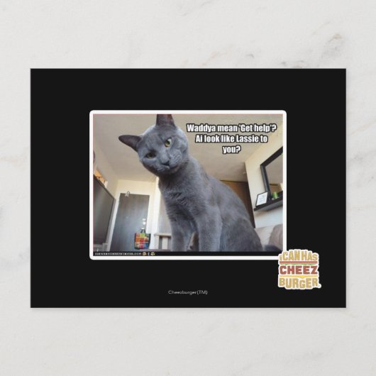 Gemeines Wadya "erhalten Hilfe"? Postkarte (Vorderseite)