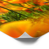 Gemeinsam Poster (Ecke)