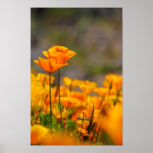 Gemeinsam Poster (Vorne)