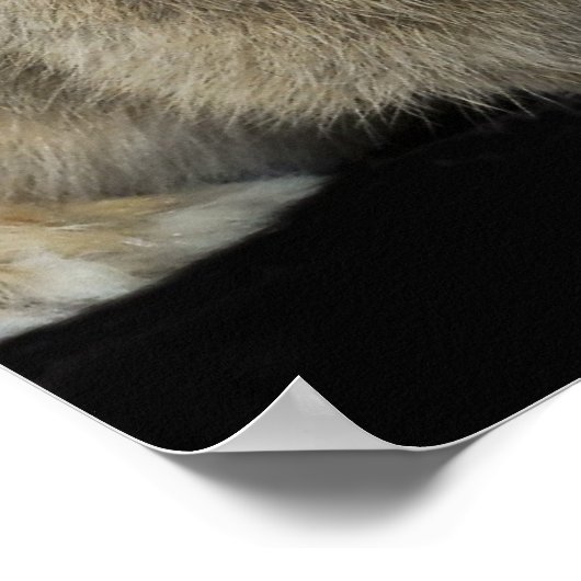 Gemeinsam Poster (Ecke)