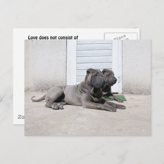 Gemeinsam Postkarte (Vorne/Hinten)