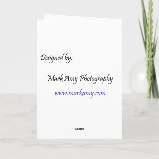 Gemeinsam zu Weihnachten sein (Rückseite)