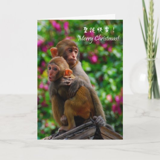 Gemeinsam zu Weihnachten sein (Vorderseite)