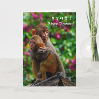 Gemeinsam zu Weihnachten sein