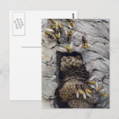GEMEINSAME ABFÄLLE 2 POSTKARTE (Vorne/Hinten)