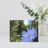 Gemeinsame Chicorée-Postkarte Postkarte (Stehend Vorderseite)