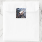 Gemeinsame Dolphin-Oberfläche Quadratischer Aufkleber (Tasche)