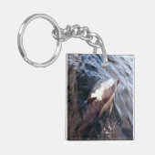 Gemeinsame Dolphin-Oberfläche Schlüsselanhänger (Vorderseite links)