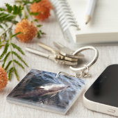 Gemeinsame Dolphin-Oberfläche Schlüsselanhänger (Vorderseite rechts)