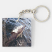 Gemeinsame Dolphin-Oberfläche Schlüsselanhänger (Rückseite)