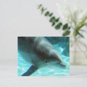 Gemeinsame Dolphin-Postkarte Postkarte (Stehend Vorderseite)