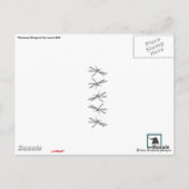 "Gemeinsame Drachen" Postkarte (Rückseite)