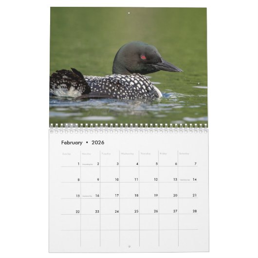 Gemeinsame Erklärung 2026 Kalender (Feb 2026)