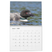 Gemeinsame Erklärung 2026 Kalender (Mär 2027)