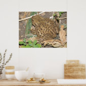 Gemeinsame europäische Druckmaschine Poster (Küche)