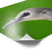 Gemeinsame/Europäische Starling Fotodruck (Ecke)