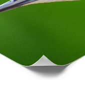 Gemeinsame/Europäische Starling Poster (Ecke)