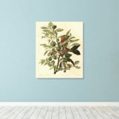 Gemeinsame Ground-Dove von Audubons Vögeln Amerika Leinwanddruck (Insitu (Holzboden))