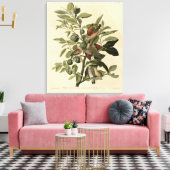 Gemeinsame Ground-Dove von Audubons Vögeln Amerika Leinwanddruck (Insitu (Wohnzimmer))