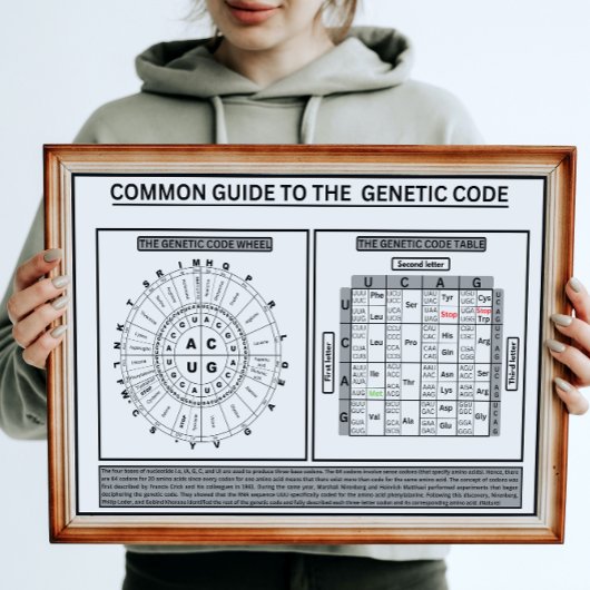 Gemeinsame Haltung zum genetischen Code Poster