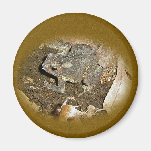 Gemeinsame Koordinationsaufgaben Magnet (Vorne)