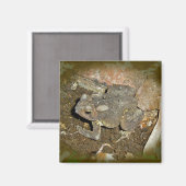 Gemeinsame Koordinationsaufgaben Magnet (Vorderseite/Rückseite)