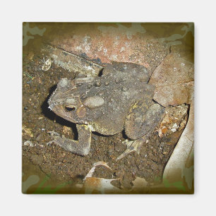 Gemeinsame Koordinationsaufgaben Magnet