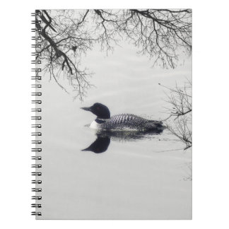 Gemeinsame Loon-Swims im Winter im Nordsee Notizblock