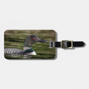 Gemeinsame Lounge zu Jabe Pond Gepäckanhänger