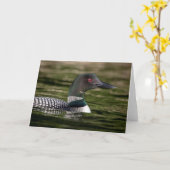 Gemeinsame Lounge zu Jabe Pond Karte (Gelbe Blume)